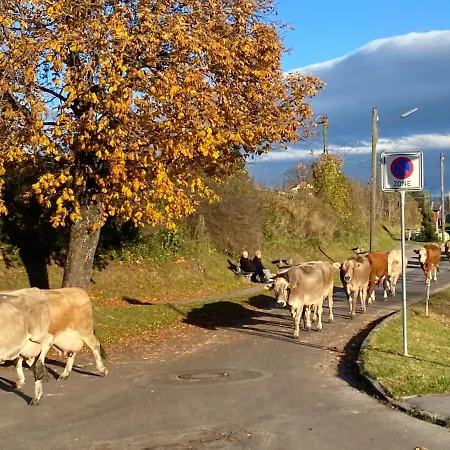 Im-oberland - Tal - *