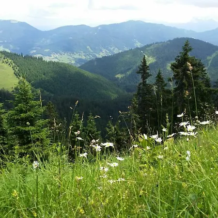 Im-oberland - Tal - Königscard Apartment *